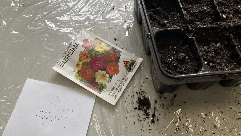 цветочная клумба