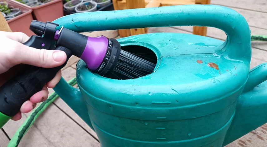 первая подкормка пионов весной