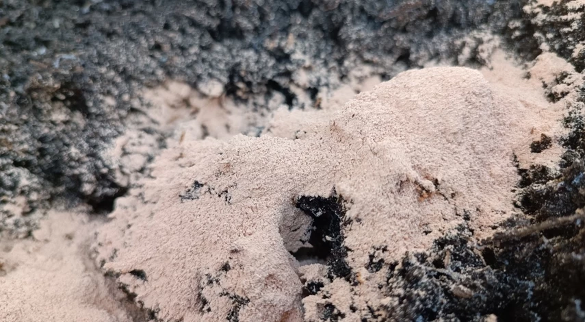 минеральные удобрения правила внесения