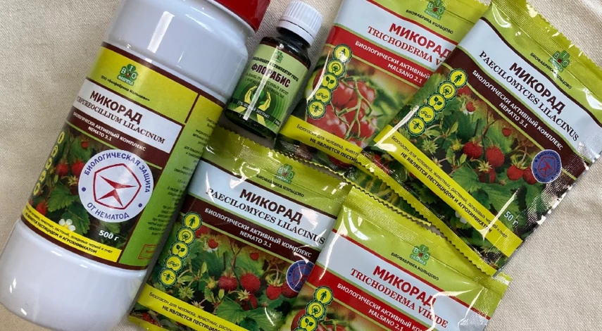 как бороться с нематодой