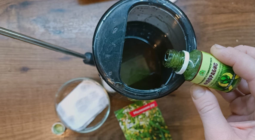 картофельная нематода