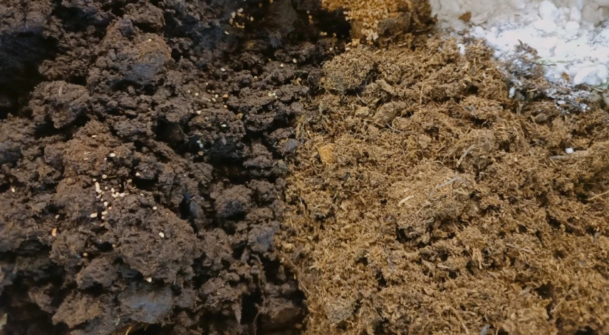 нематоды в земле