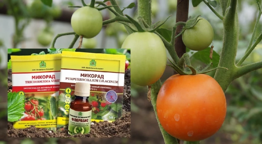 средство от нематоды в почве