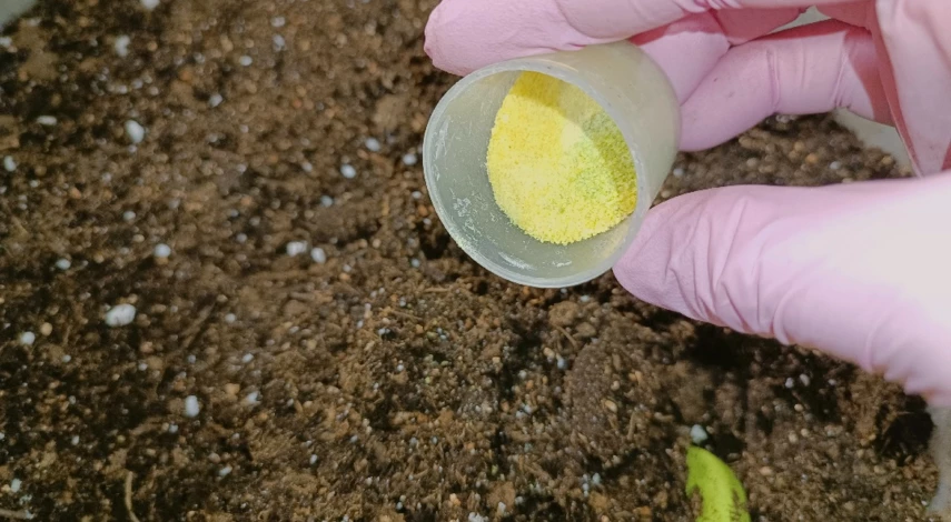 как бороться с нематодой