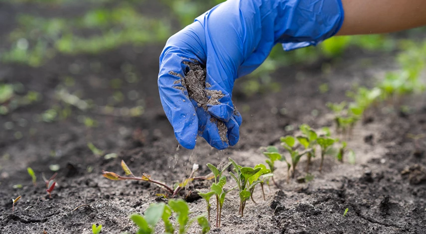 препараты от слизней