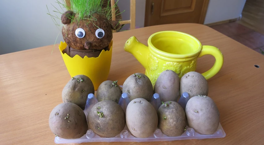 как вырастить картофель в мешках