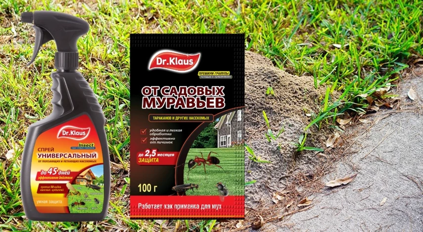 средство как избавиться от муравьев