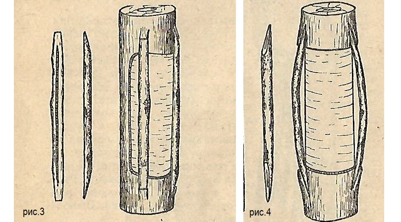 прививка дерева мостиком