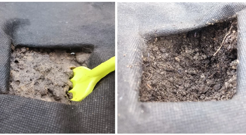 семена огурцов перед посадкой в грунт