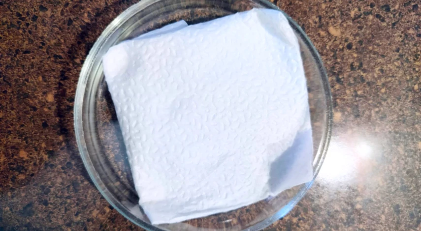 семена ипомеи квамоклит