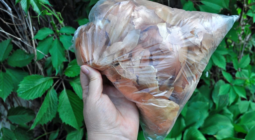 чем подкормить томаты во время цветения