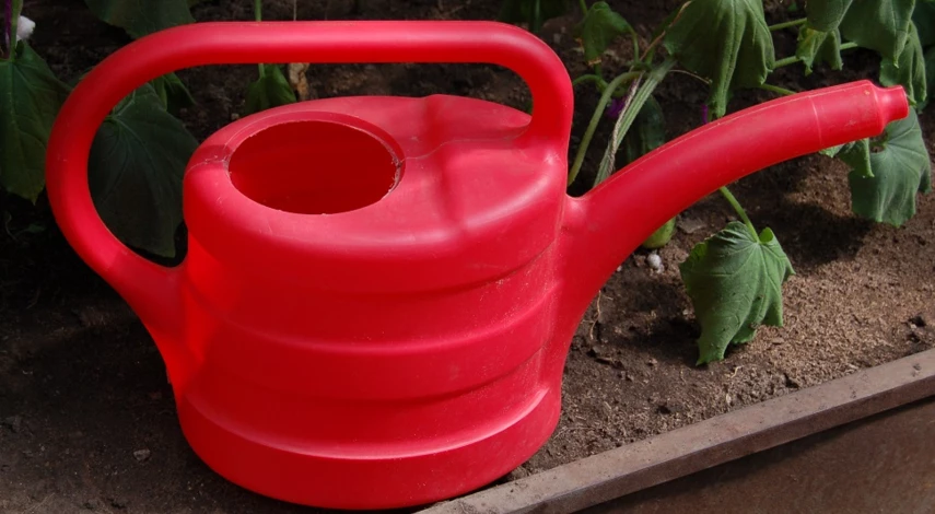 как подкормить помидоры дрожжами