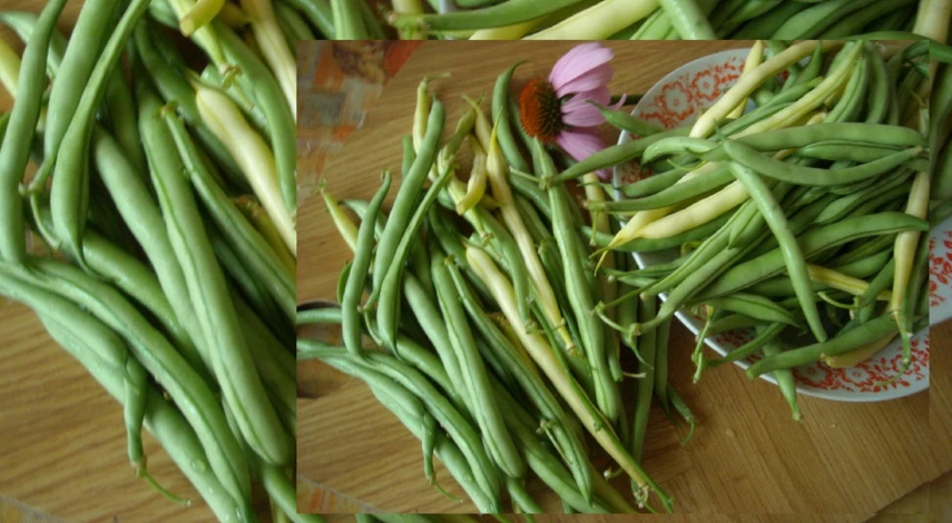 как вырастить спаржевую фасоль