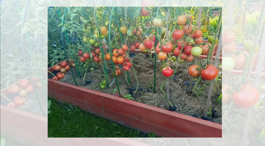 как сделать высокие грядки