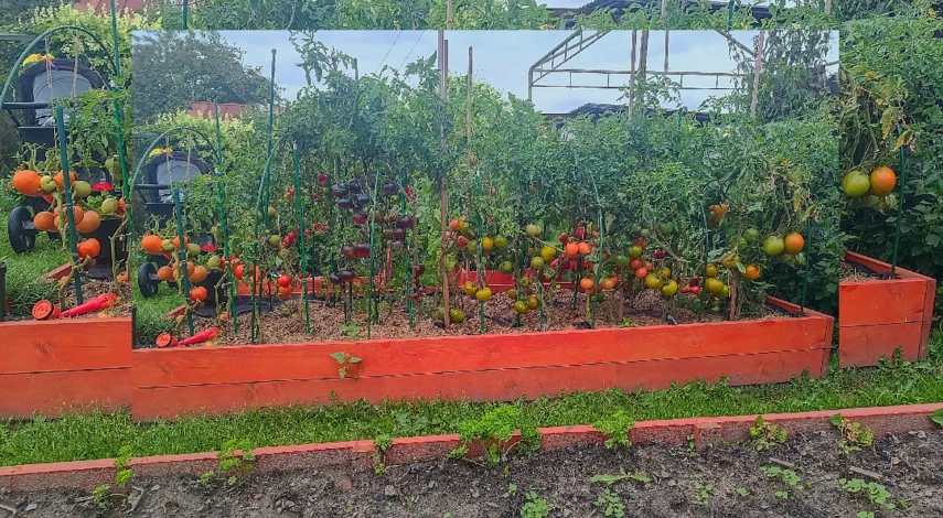 высокие грядки из дерева