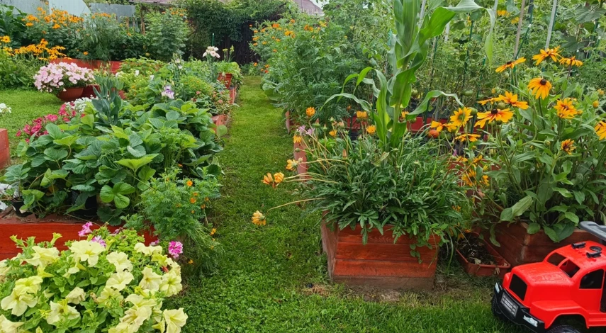 высота высоких грядок