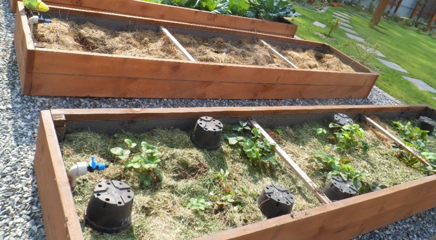 правильные высокие грядки