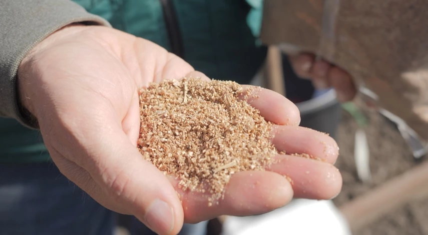 как вносить минеральные удобрения