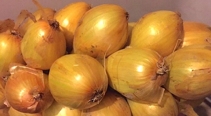 луки подкормка весной