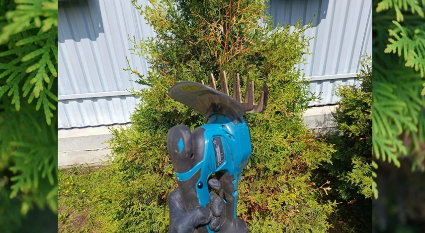 как обрезать тую