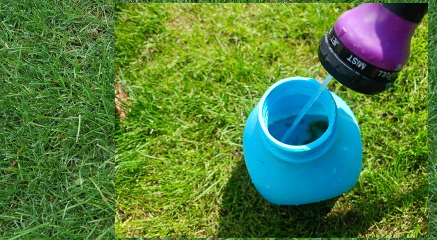 как стричь тую брабант