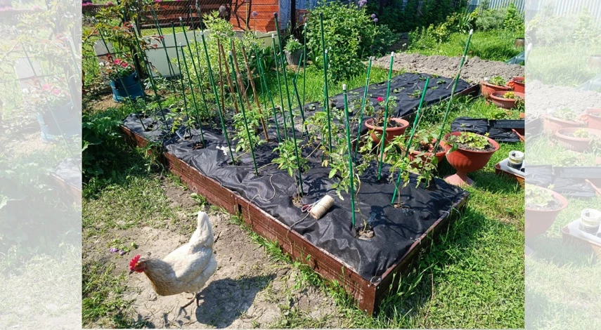 высокие грядки плюсы