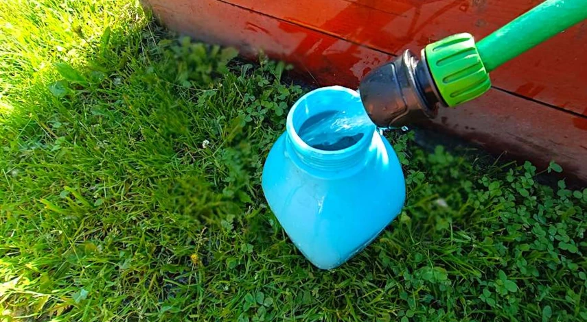 когда лучше черенковать гортензию