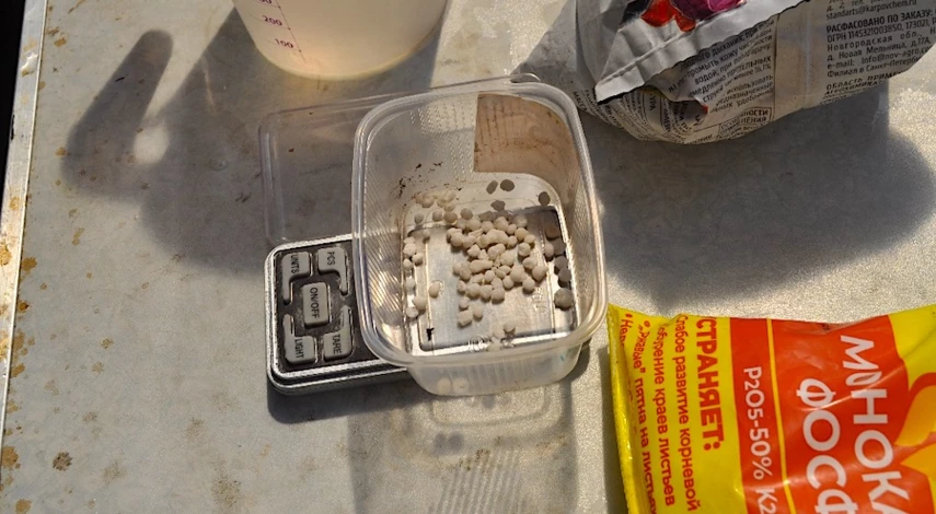 подкормка для гортензии летом для цветения