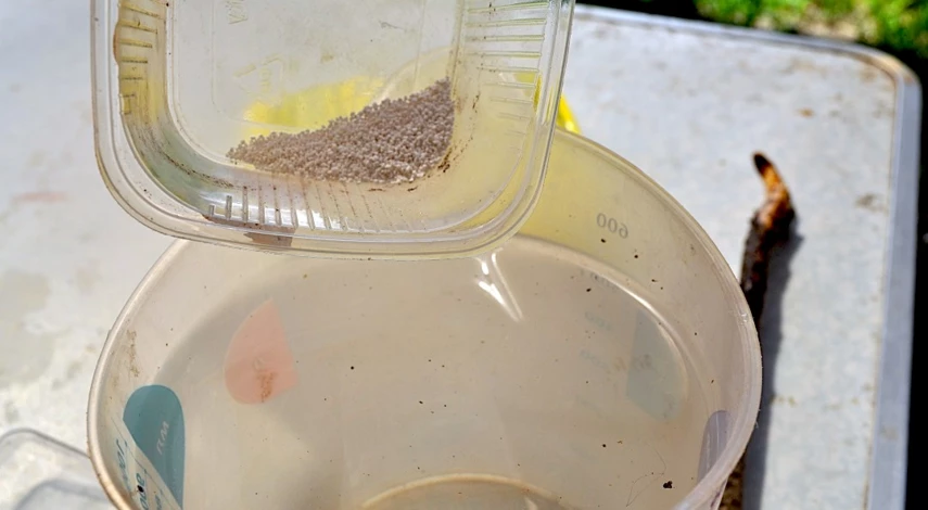 подкормка гортензии лимонной кислотой пропорции летом