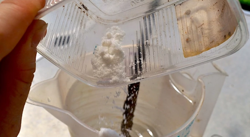 подкормка гортензии кефиром летом