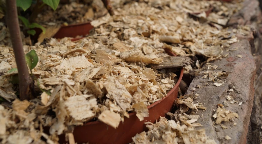 опилки для мульчирования