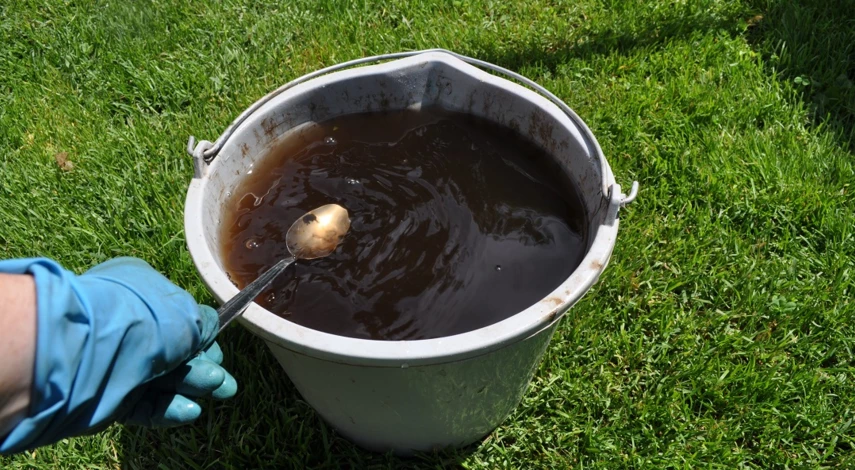 чем подкормить клубнику в июле после сбора