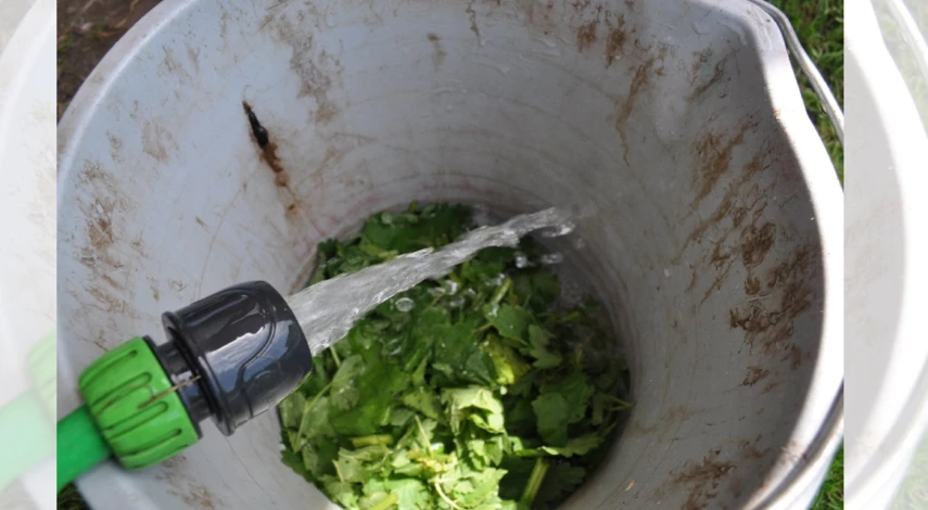 удобрение клубники после плодоношения в июле