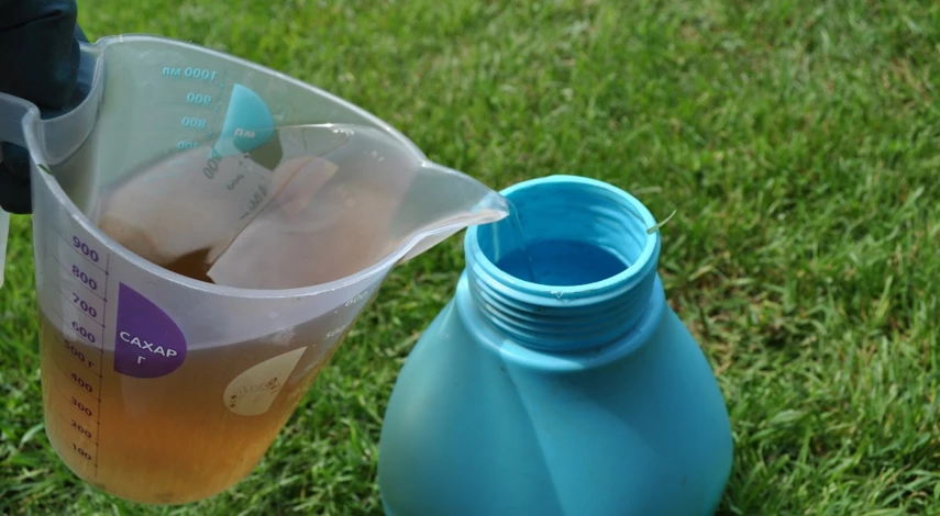 уход за клубникой в июле