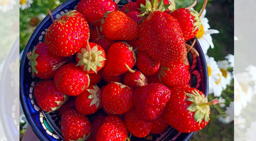 чем подкормить клубнику в июле