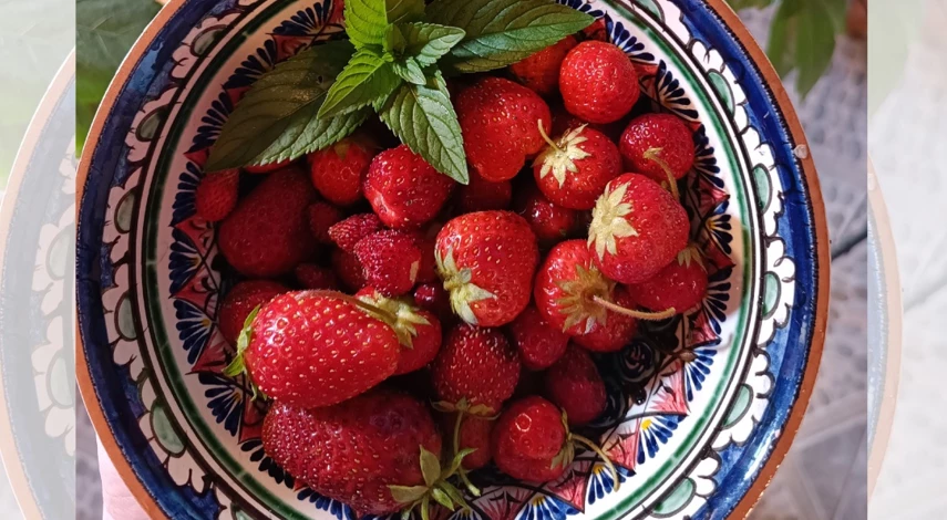 подкормка ремонтантной клубники в июле