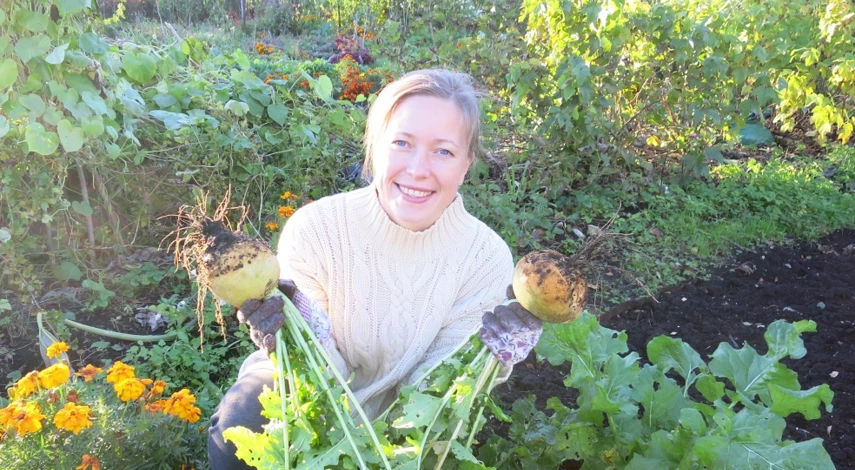 когда сажать брюкву