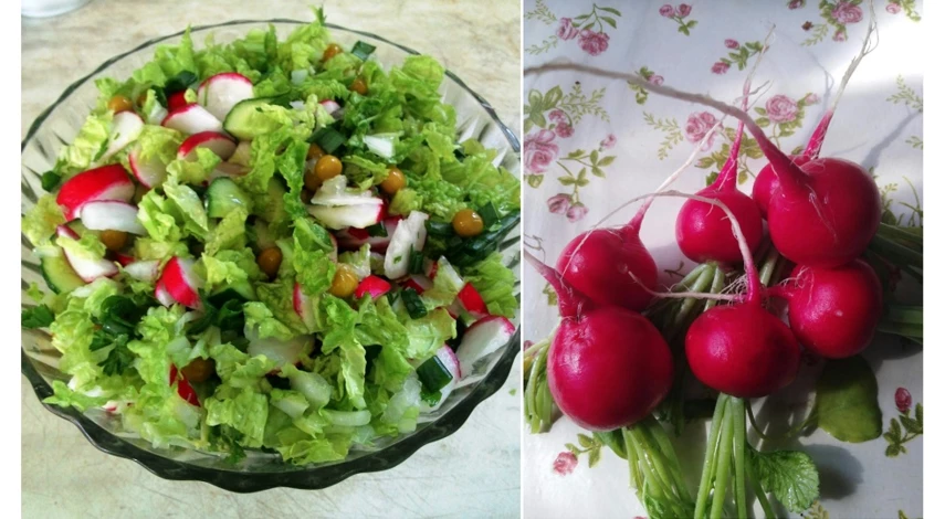 на какую глубину сажать редис