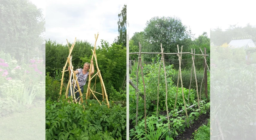 маленький садовый участок