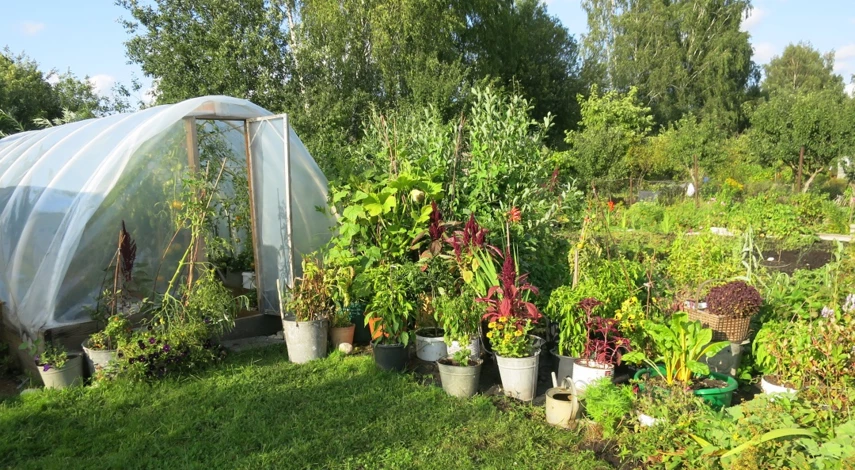 участок меньше 6 соток