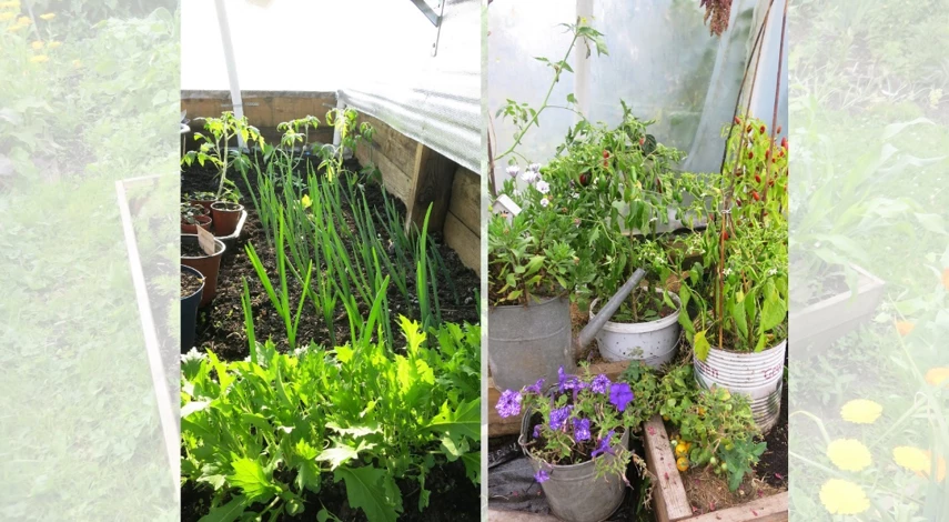 как сделать маленький огород