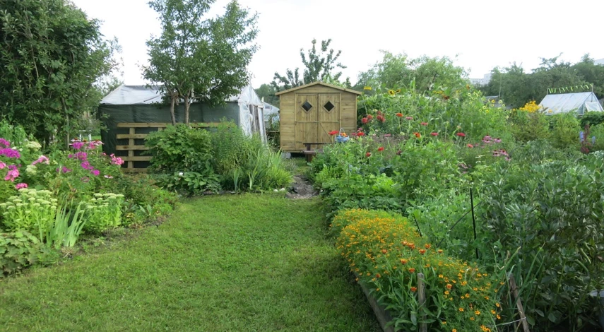 маленький огород своими руками