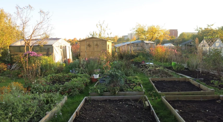 маленький красивый огород