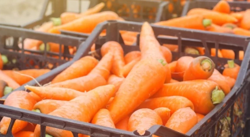 как хранить морковь зимой