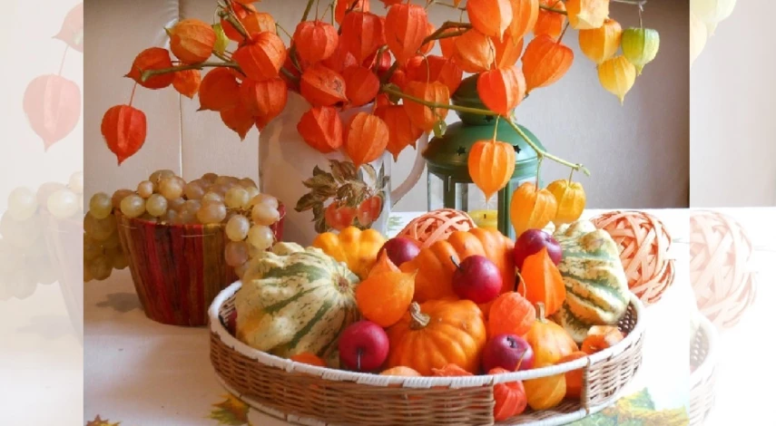 физалис декоративный выращивание из семян