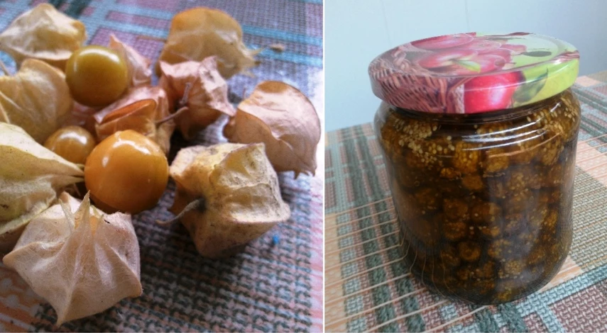 физалис декоративный как вырастить