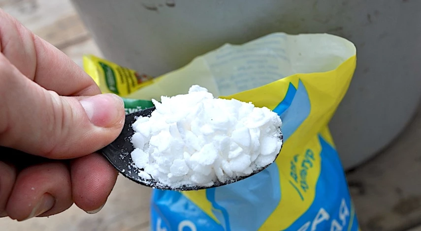 когда делать обрезку клубники после плодоношения