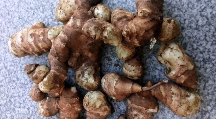 клубни топинамбура