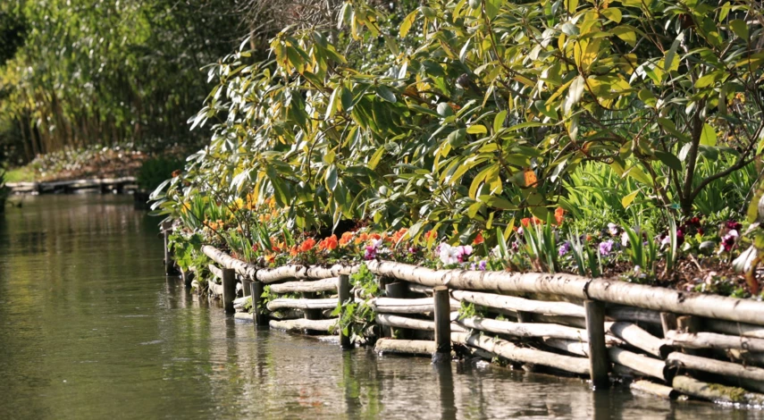 сад клода моне