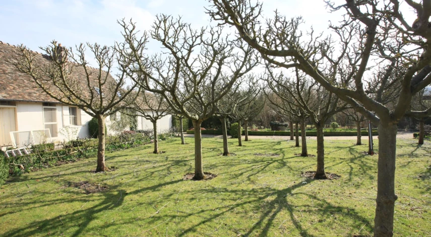 сад моне в живерни